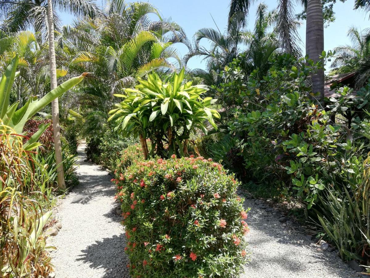 Mundo Goub'Art Bed & Breakfast Cabuya  Exterior foto