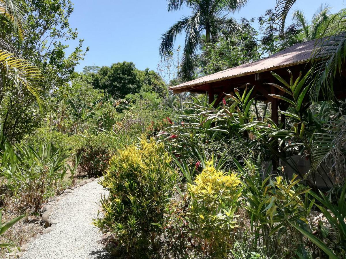 Mundo Goub'Art Bed & Breakfast Cabuya  Exterior foto