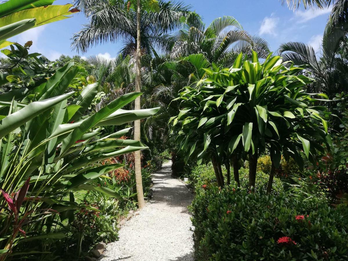 Mundo Goub'Art Bed & Breakfast Cabuya  Exterior foto