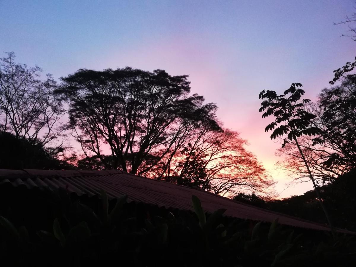 Mundo Goub'Art Bed & Breakfast Cabuya  Exterior foto